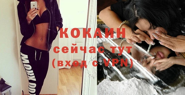 молекула духа Абинск