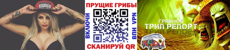 Псилоцибиновые грибы Psilocybe Кашира